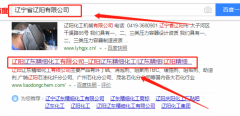 辽阳辽东精细化工有限公司与我司做网站推广项目